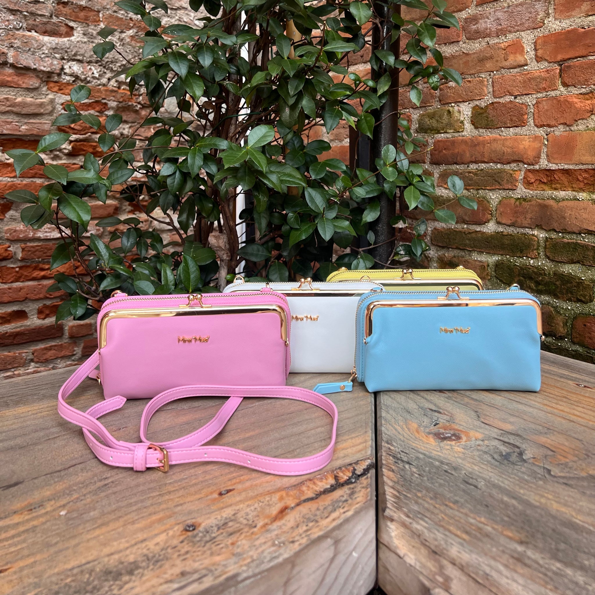 Portafoglio tracolla🌸